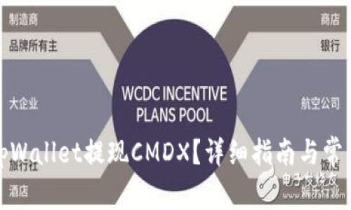 如何通过tpWallet提现CMDX？详细指南与常见问题解答
