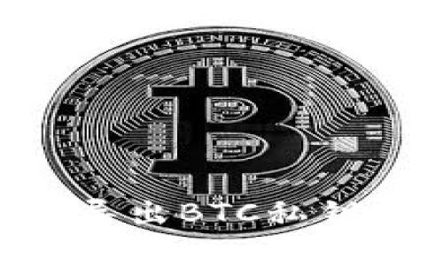 tpWallet如何导出BTC私钥：详细步骤指南