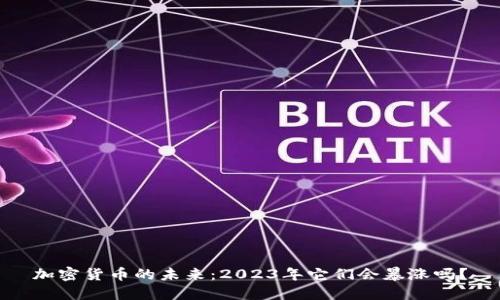 加密货币的未来：2023年它们会暴涨吗？