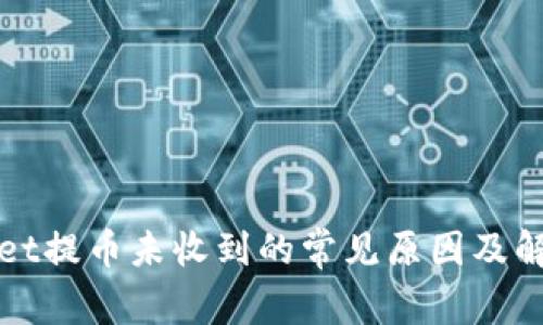 tpWallet提币未收到的常见原因及解决方案