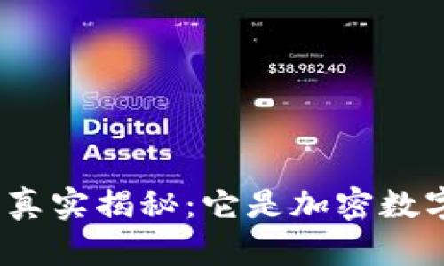 “没傻币”真实揭秘：它是加密数字货币吗？