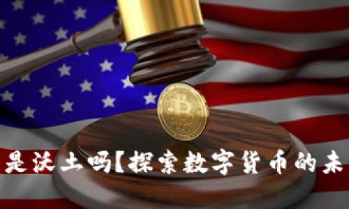 加密货币是沃土吗？探索数字货币的未来与风险