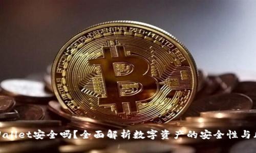 tpWallet安全吗？全面解析数字资产的安全性与风险