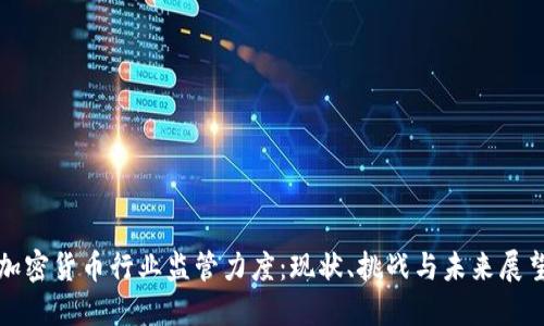 加密货币行业监管力度：现状、挑战与未来展望