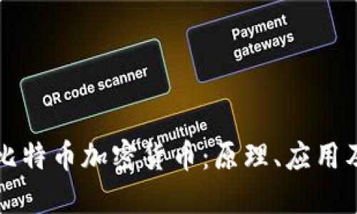 深入探讨比特币加密货币：原理、应用及未来发展