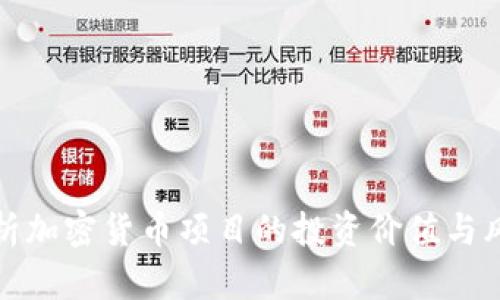 全面解析加密货币项目的投资价值与风险评估