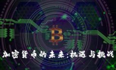 加密货币的未来：机遇与挑战