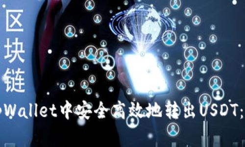 如何在tpWallet中安全高效地转出USDT：详尽指南