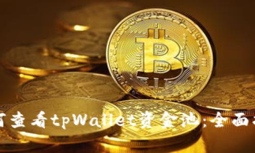 如何查看tpWallet资金池：全面指南