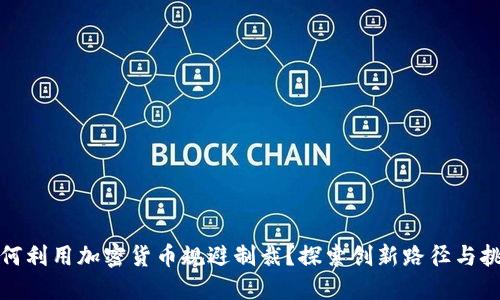 如何利用加密货币规避制裁？探索创新路径与挑战