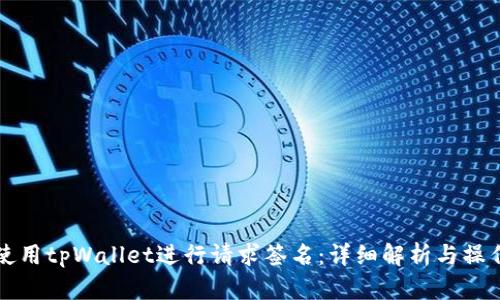 如何使用tpWallet进行请求签名：详细解析与操作指南