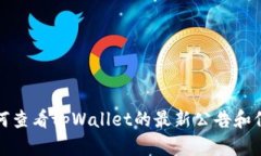 如何查看tpWallet的最新公告和信息
