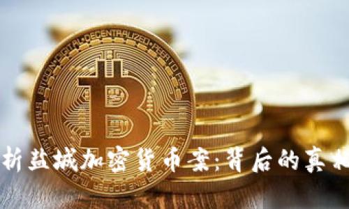 深入解析盐城加密货币案：背后的真相与反思