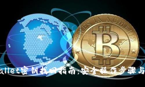 tpWallet密钥找回指南：安全操作步骤与技巧