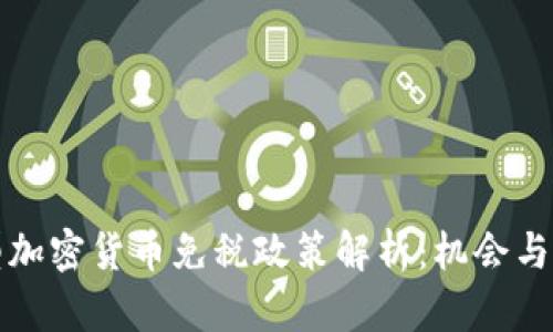 大型加密货币免税政策解析：机会与挑战