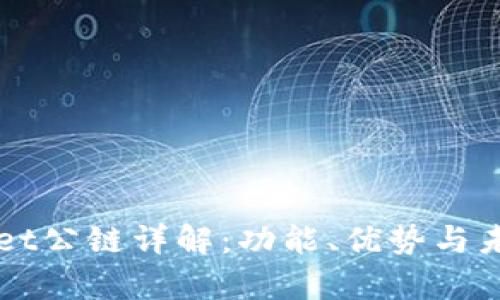 tpWallet公链详解：功能、优势与未来展望