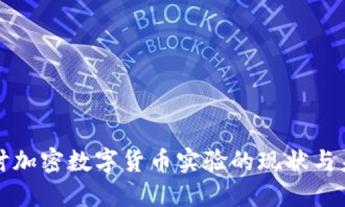 深入探讨加密数字货币实验的现状与未来发展