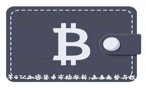 2023年BTC加密货币市场分析：未来走势与投资策略