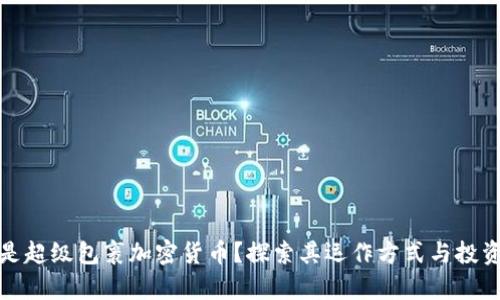 什么是超级包裹加密货币？探索其运作方式与投资前景