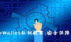 深入解析tpWallet私钥技术：安全保障与操作指南