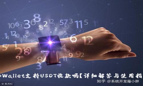 tpWallet支持USDT收款吗？详细解答与使用指南