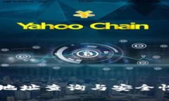 tpWallet地址查询与安全性全面解析