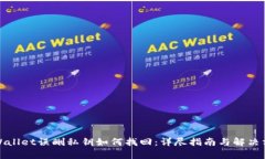 tpWallet误删私钥如何找回：详尽指南与解决方案