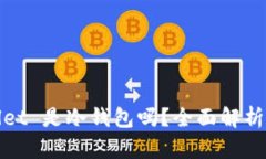 tpWallet 是冷钱包吗？全面解析与对比