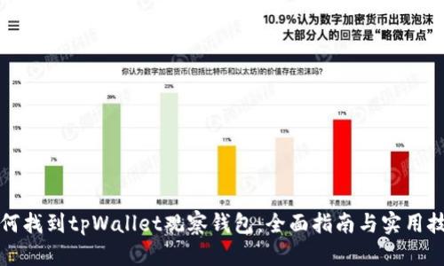 如何找到tpWallet观察钱包：全面指南与实用技巧