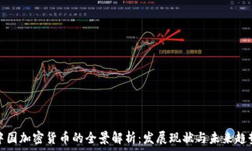   
中国加密货币的全景解析：发展现状与未来趋势