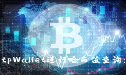 如何使用tpWallet进行哈西值查询：全面指南