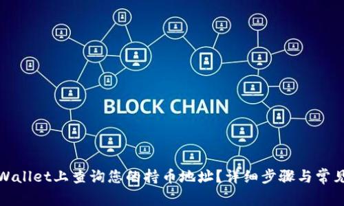 如何在tpWallet上查询您的持币地址？详细步骤与常见问题解答