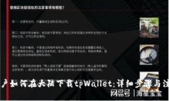 苹果用户如何在大陆下载tpWallet：详细步骤与注意