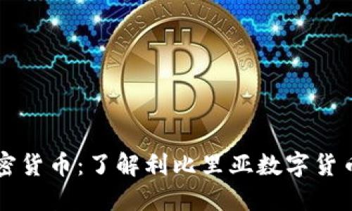 利比里亚的加密货币：了解利比里亚数字货币的现状与未来