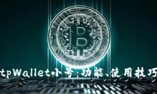 全面解析tpWallet小号：功能、使用技巧与安全性