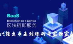 tpWallet转出币未到账的专家独家解决秘诀