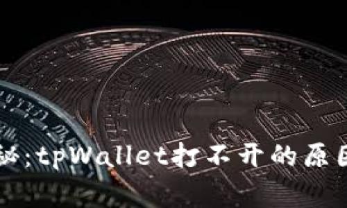 专家独家揭秘：tpWallet打不开的原因及解决秘诀