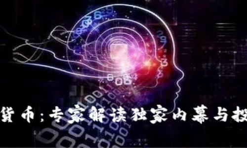 TT加密货币：专家解读独家内幕与投资秘诀
