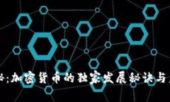 专家揭秘：加密货币的独家发展秘诀与未来出路