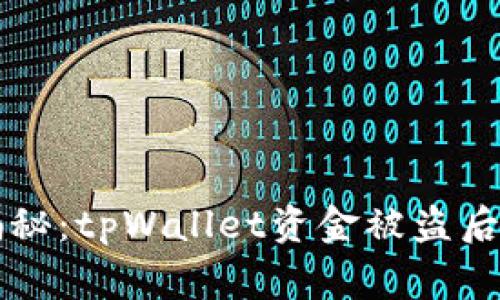 专家独家揭秘：tpWallet资金被盗后的应对秘诀