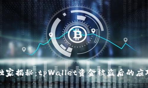 专家独家揭秘：tpWallet资金被盗后的应对秘诀