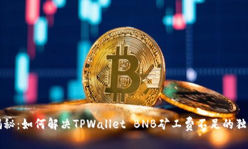 专家揭秘：如何解决TPWallet BNB矿工费不足的独家秘诀