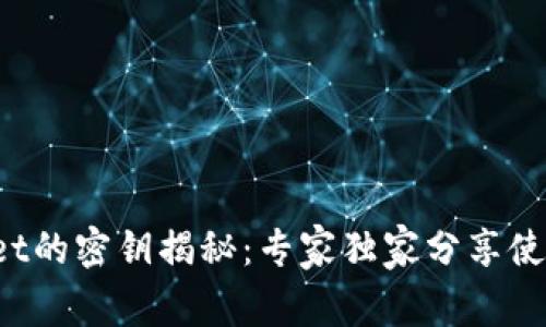 tpWallet的密钥揭秘：专家独家分享使用秘诀！