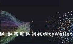 专家独家揭秘：如何用私钥找回tpWallet的钱包资产