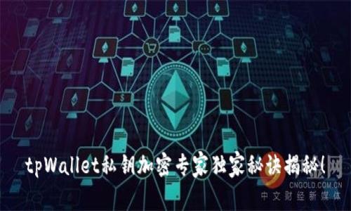 tpWallet私钥加密专家独家秘诀揭秘！