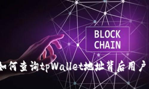 专家揭秘：如何查询tpWallet地址背后用户的独家秘诀