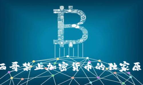 专家揭秘：墨西哥禁止加密货币的独家原因与未来展望