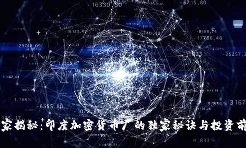 专家揭秘：印度加密货币厂的独家秘诀与投资前景