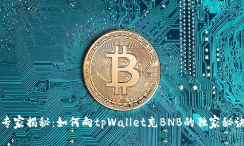 专家揭秘：如何向tpWallet充BNB的独家秘诀