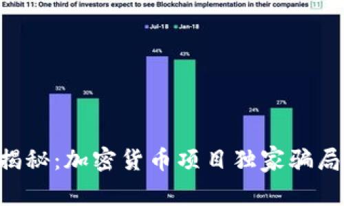 专家揭秘：加密货币项目独家骗局秘诀！